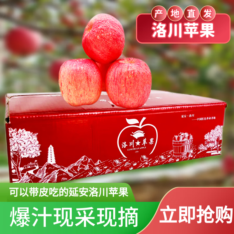 查询苹果价格最低|苹果价格走势