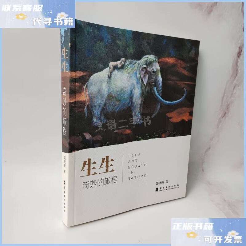 【二手9成新】生生:奇妙的旅程 /聂晓梅 岭南美术出版社