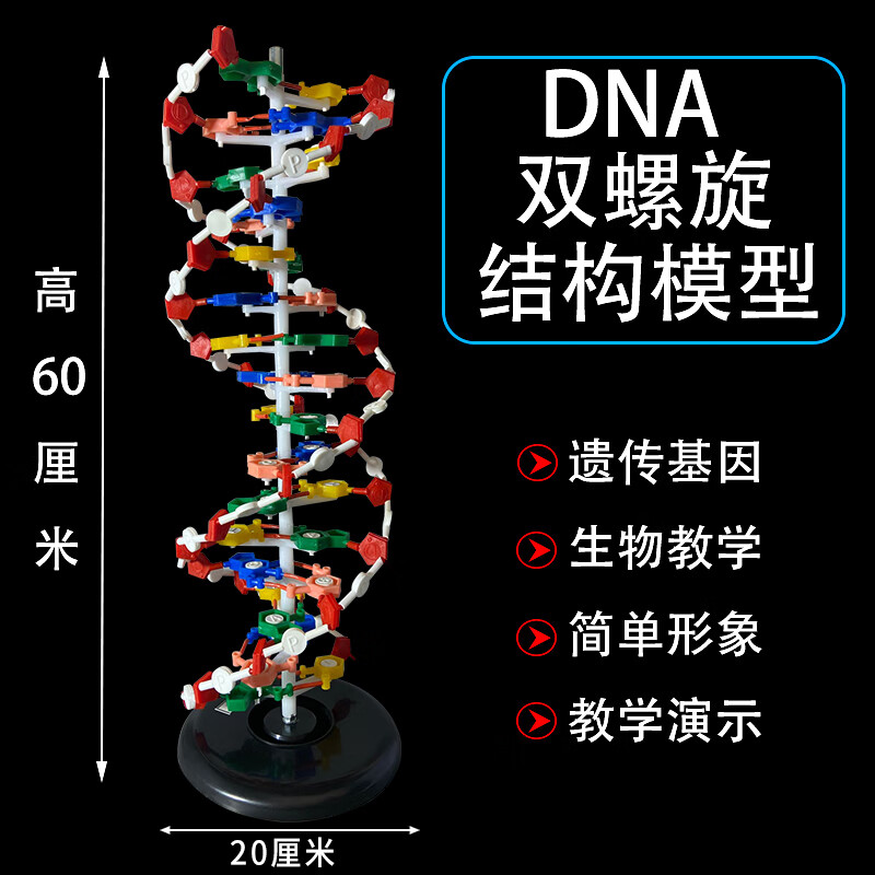 基因拼接技术图片