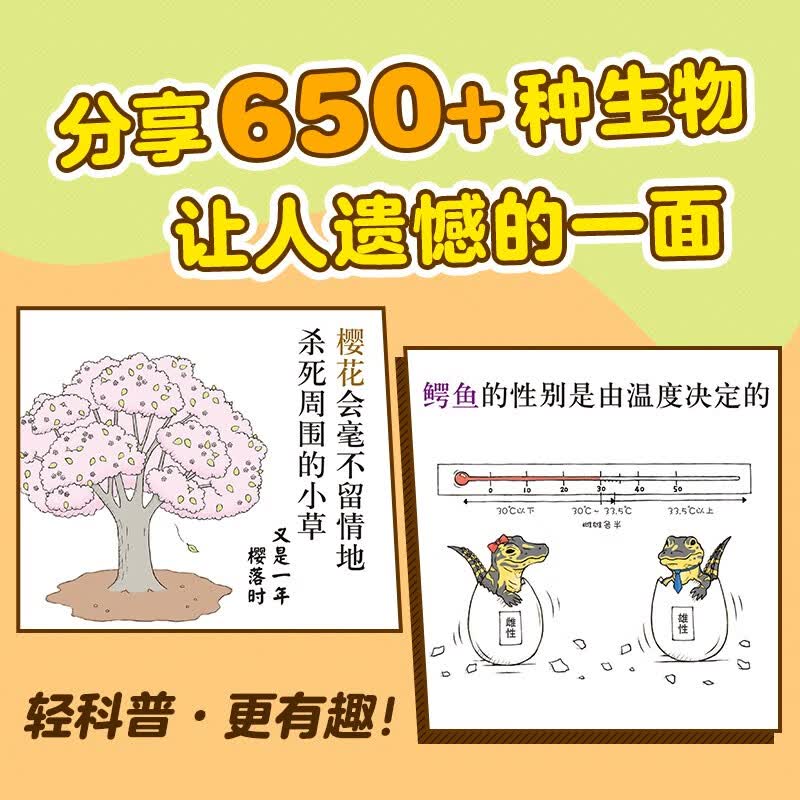 图 6