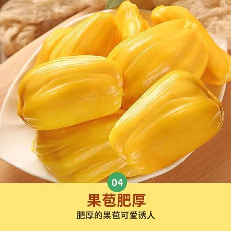 南业果海南三亚黄肉菠萝蜜当季新鲜孕妇水果一整个菠萝蜜现摘现发 20-25斤