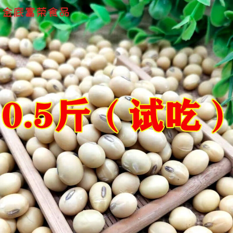 维霆新黄豆农家土黄豆老品种黄豆老款椭圆形大豆苏北黑脐王黄豆 半斤
