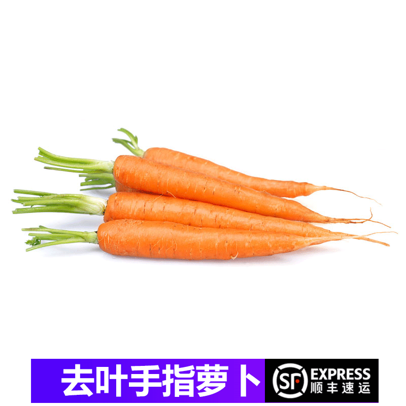 【顺丰】新鲜去叶手指萝卜 500g 水果萝卜 迷你小胡萝卜 500g