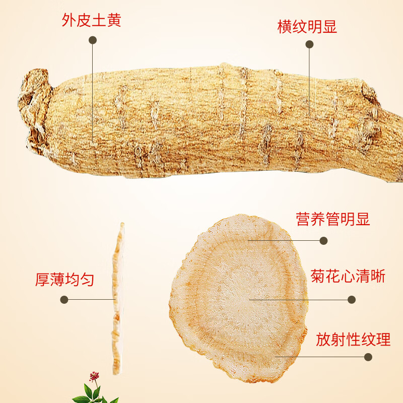雷允上美国西洋参礼盒花旗参切片进口含片泡水可磨粉人参皂苷节送礼 【罐装自用】 100g*1罐 1.4-1.6cm