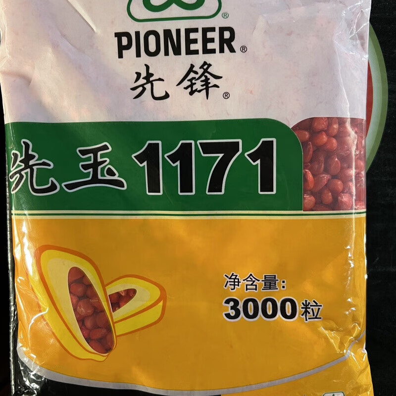 细辛先玉1171云贵稳产杂交玉米种子南方种植粮食饲料玉米种子包谷种子