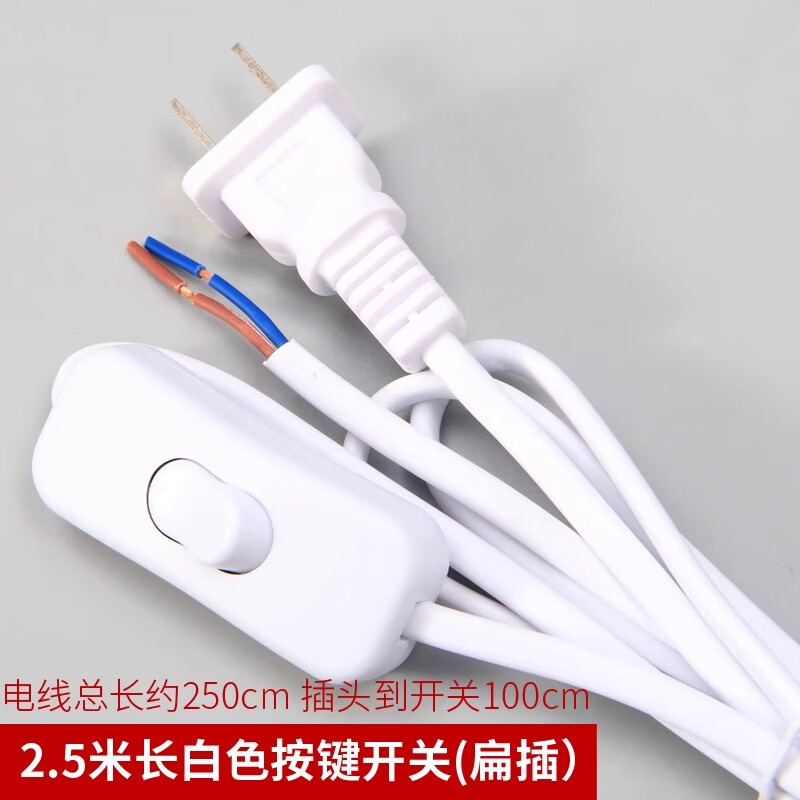 首力台灯开关电源带线控台灯按键开关灯管线床头插头台灯电线灯具配件 2.5米白色按键开关（扁插）