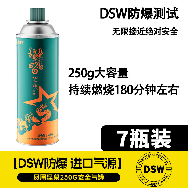 ���ڲ�������������ʽ¯����ͨ�� ��Я����ҰӪ�տ���ȫ������ƿ ������˹úȼ���� �߶���������ϵ��250*7