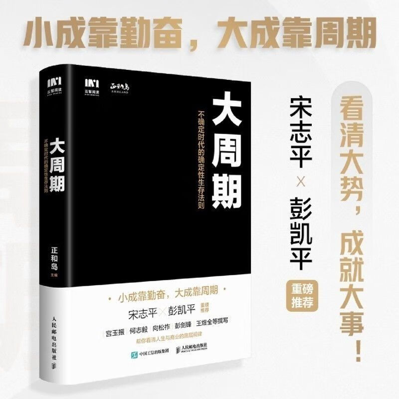 /大周期 不确定时代的确定性生存法则 正和岛 主编 帮你看清