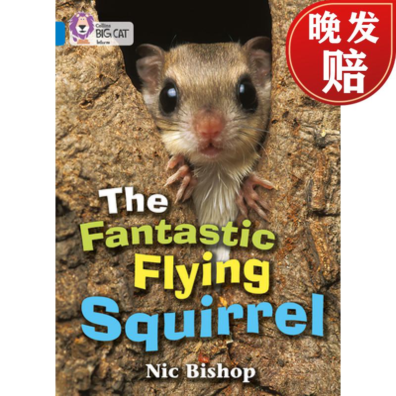 【4周达】fantastic flying squirrel: band 04/blue