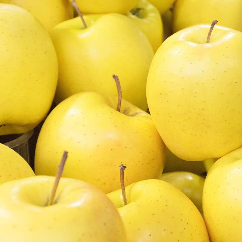 都乐Dole 黄金维纳斯苹果 核心产区直发  甜脆多汁 3斤装约8-9粒 简装