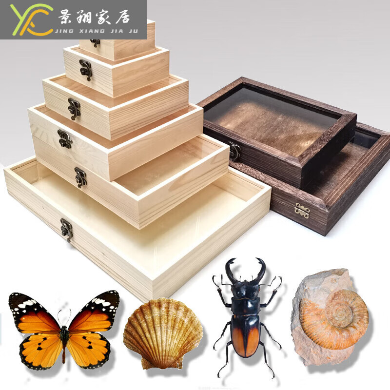景翔昆虫标本盒实木蝴蝶标本收纳展示盒昆虫植物化生物石贝壳加 8.5*8.5标配
