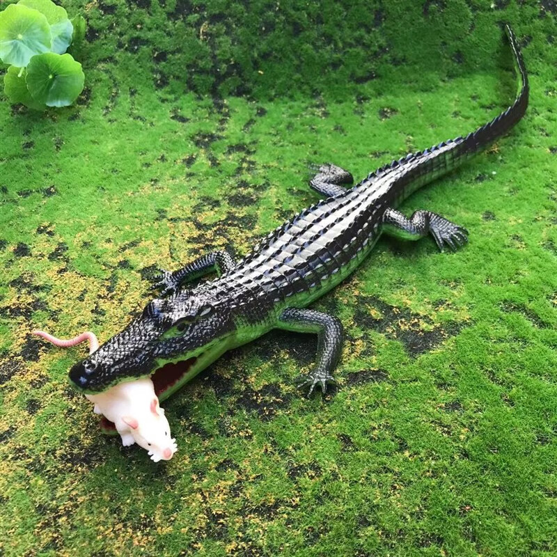 模型玩具发声塑料塑胶海洋爬行帝鳄儿童礼物 软胶大鳄鱼捏捏叫黑绿色