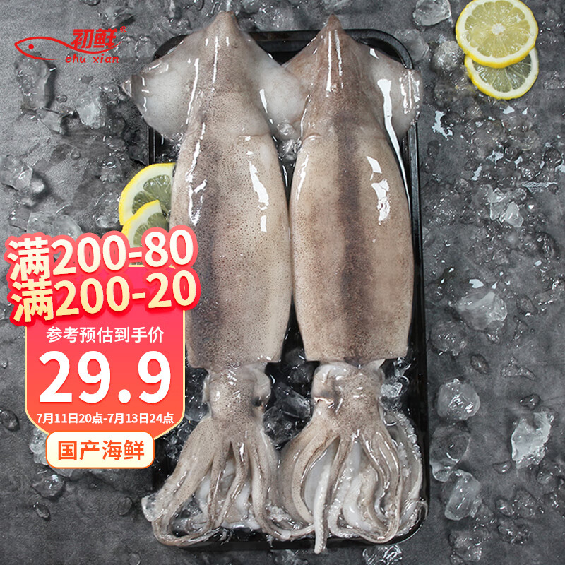 初鲜鲜冻大鱿鱼(2条)净重600-650g 铁板鱿鱼 火锅烧烤食材 海鲜水产
