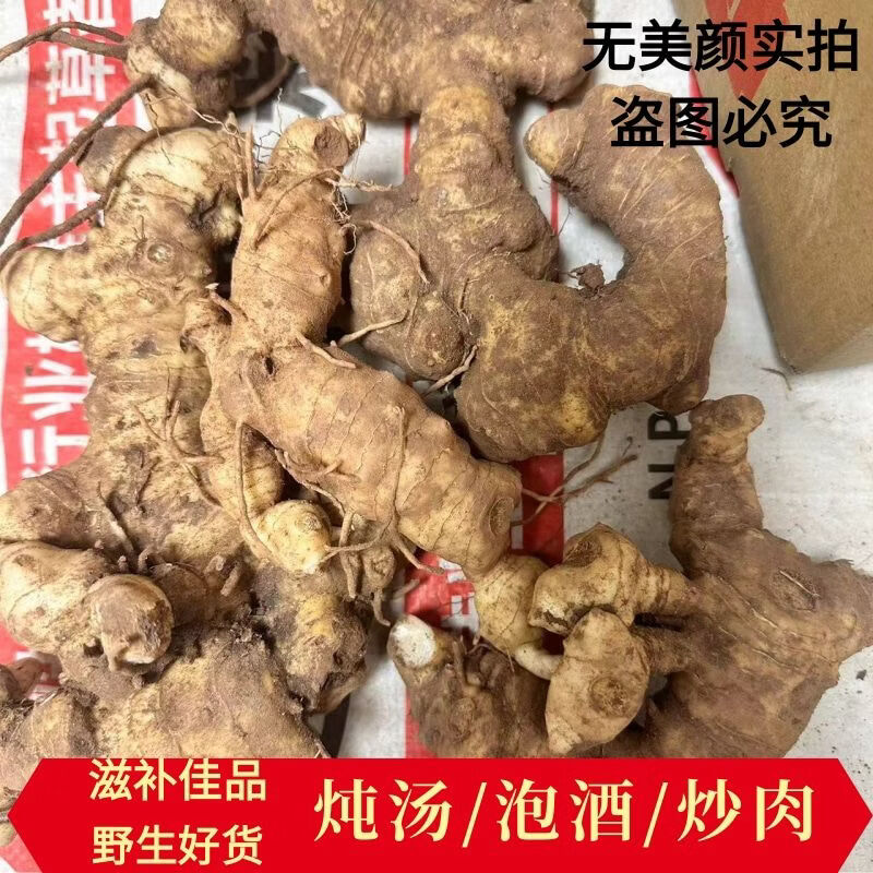 四川现挖新鲜黄精鲜货老虎姜煲汤泡酒5-8年天然黄精鸡头参大黄姜