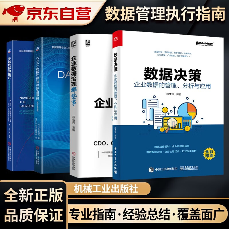 数据管理&治理4本套 企业数据治理那些事+DAMA数据管理知识体系指南（原书第2版）+穿越数据的迷宫数据管理执行指南+数据决策 企业数据的管理分析与应用