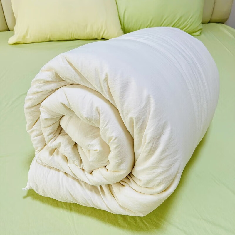类超柔母婴大豆被大豆纤维原棉被子加厚冬被宿舍酒店春秋被芯 白[30