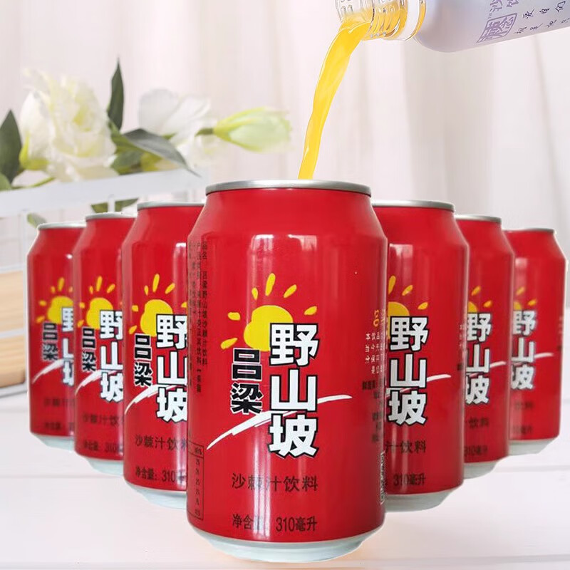 吕梁野山坡山西特产生榨沙棘汁易拉罐果汁饮料310ml10瓶 易拉罐310ml*
