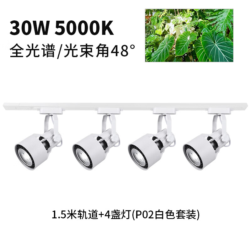 光联天下光联天下30W植物生长灯LED轨道射灯全光谱自然光绿植景观墙补光灯 全光谱5000K-48°/1.5米+4白色灯 P02/30W