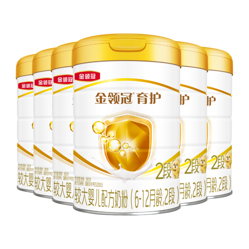 ��������� ���� 2�� Ӥ���̷� 960g 6�� 1008Ԫ