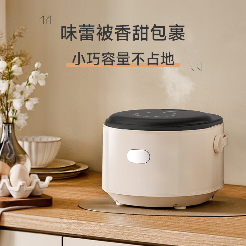 ZEMKON德国家用电饭煲智能预约迷你多功能小型电饭锅 低糖款 2.5L