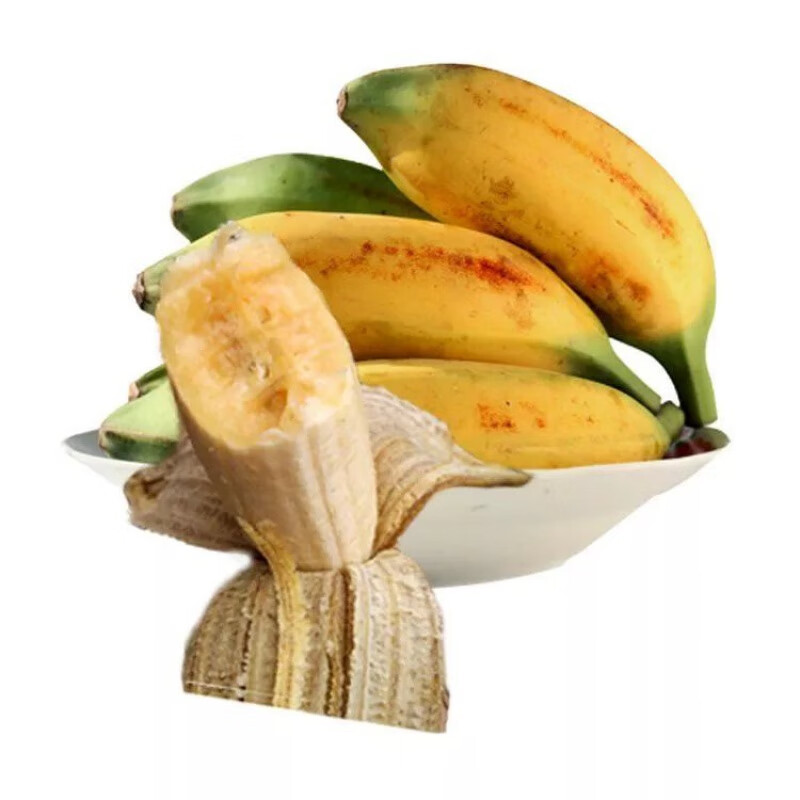 【精选】广东芭蕉大蕉高蕉plantain新鲜水果无催熟剂香蕉3/5斤单 5斤(更划算)