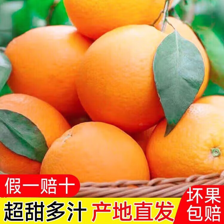 正宗奉节脐橙精选甜橙现摘现发孕妇产地直发节庆送礼精品推荐 奉节脐橙70mm+精选果 带箱5斤净重4.5-4.8斤