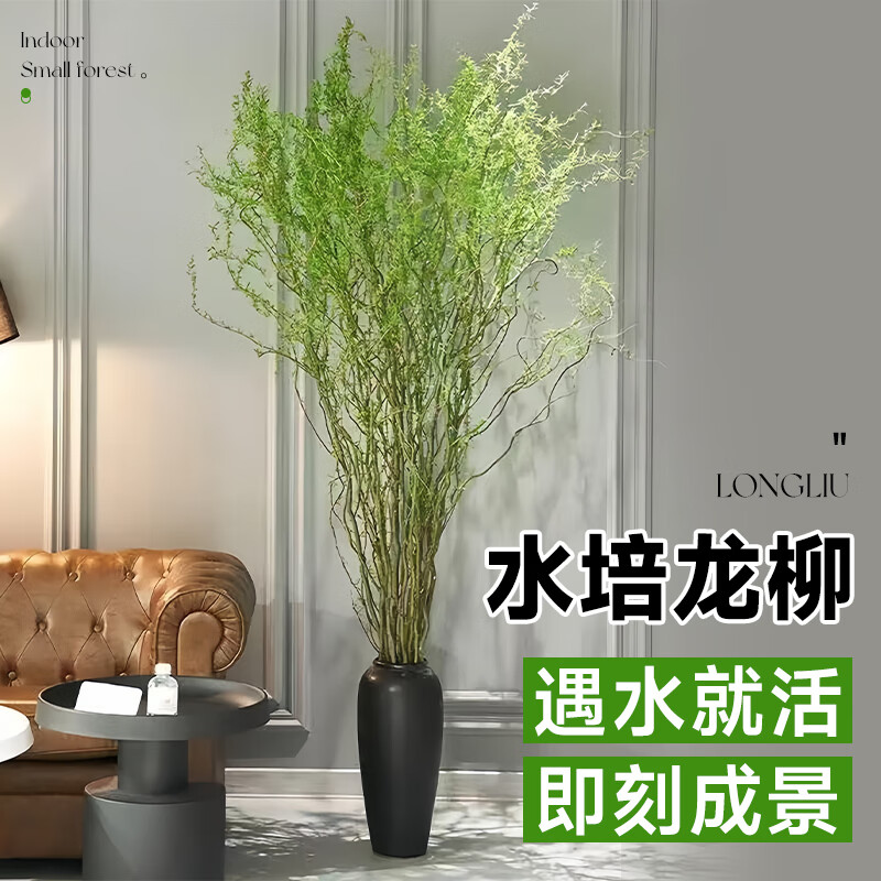 ���ڲ���������ˮ���л�ˮ����ֲ���Ի��� ����1.5��20֦/��������ѿԴͷֱ�� 31Ԫ