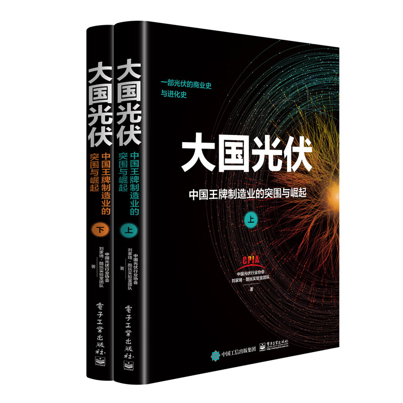 大国光伏：中国王牌制造业的突围与崛起（上、下册）