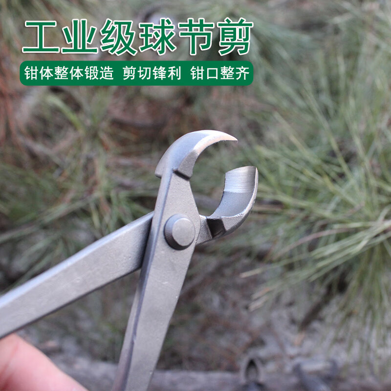 多瑙夢盆景工具球節(jié)剪日本球形樹瘤球節(jié)鉗盆景樹枝修剪鉗平口胡桃鉗 工業(yè)級綠柄鍛打8寸