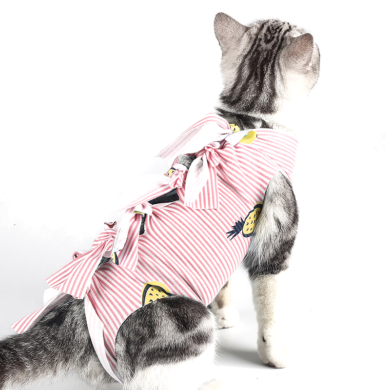 èĸè·͸̷̷èèèM 99.5Ԫ5(19.9Ԫ/)