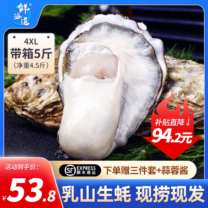 鲜海道【活鲜】鲜海道生蚝  乳山牡蛎 新鲜海蛎子生鲜贝类 特大号4XL5斤送酱（10-14只））