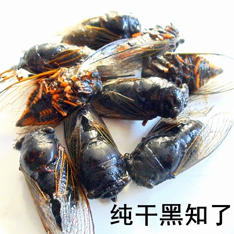 味巴哥纯干天然黑知了猴全干蜕皮黑蝉爬叉猴烘干老知了龟唐僧肉100g