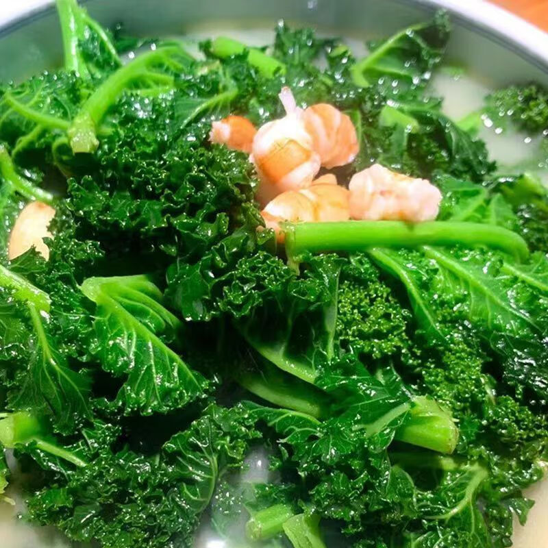 润羽衣甘蓝蔬菜种子食用甘蓝蔬菜种籽四季雨衣甘蓝种籽 羽衣甘蓝种子