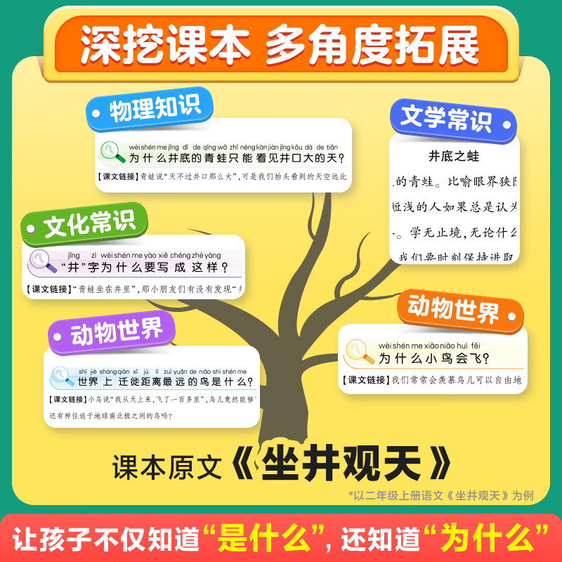 万唯小白鸥课本里的无数个为什么小学生一年级课外阅读书二三四五六年级必读书籍儿童十万个为什么语文数学科学上下册趣味百科图书 六年级 数学