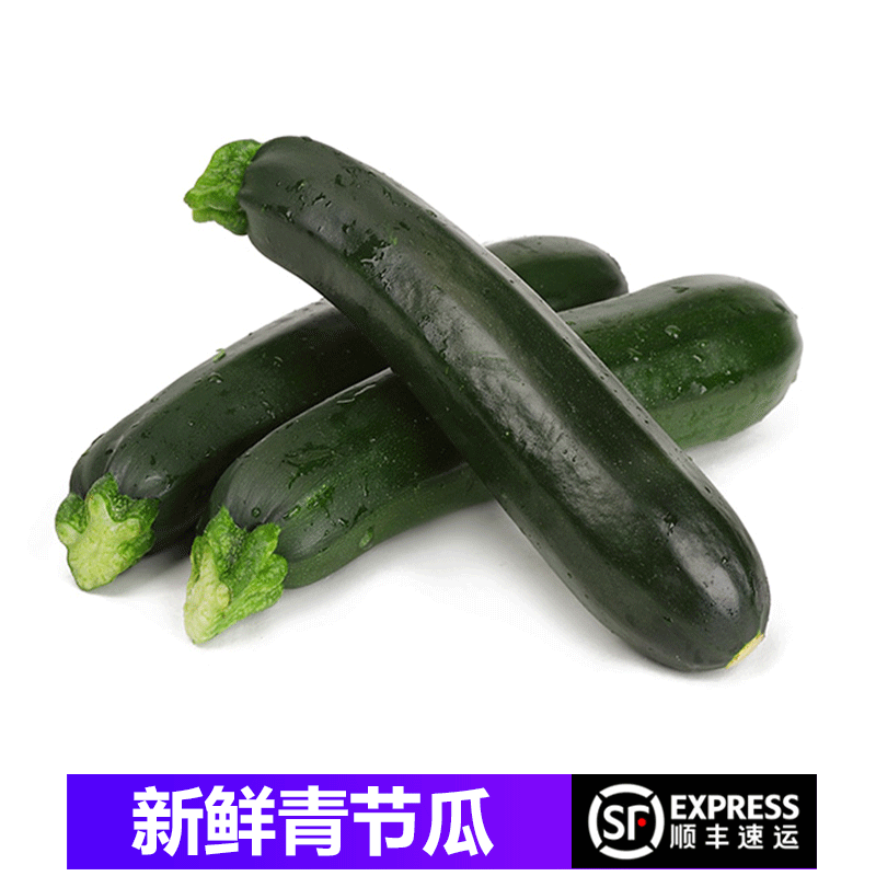 桃李村【顺丰】新鲜青节瓜 青瓜 青茄瓜 炒菜凉拌食材 500g