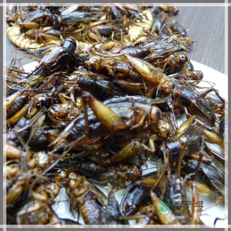 油炸蟋蟀美味昆虫宴炸蛐蛐中华蟋蟀油葫芦土蛰子开袋即食美味 50克