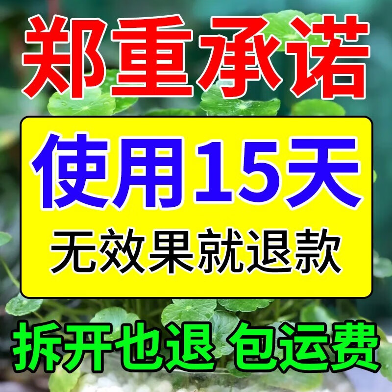 罗汉松杀虫剂新叶蚜白粉黑斑病腐根蚧壳腻虫菌干黄叶枯枝红蜘蛛 1瓶