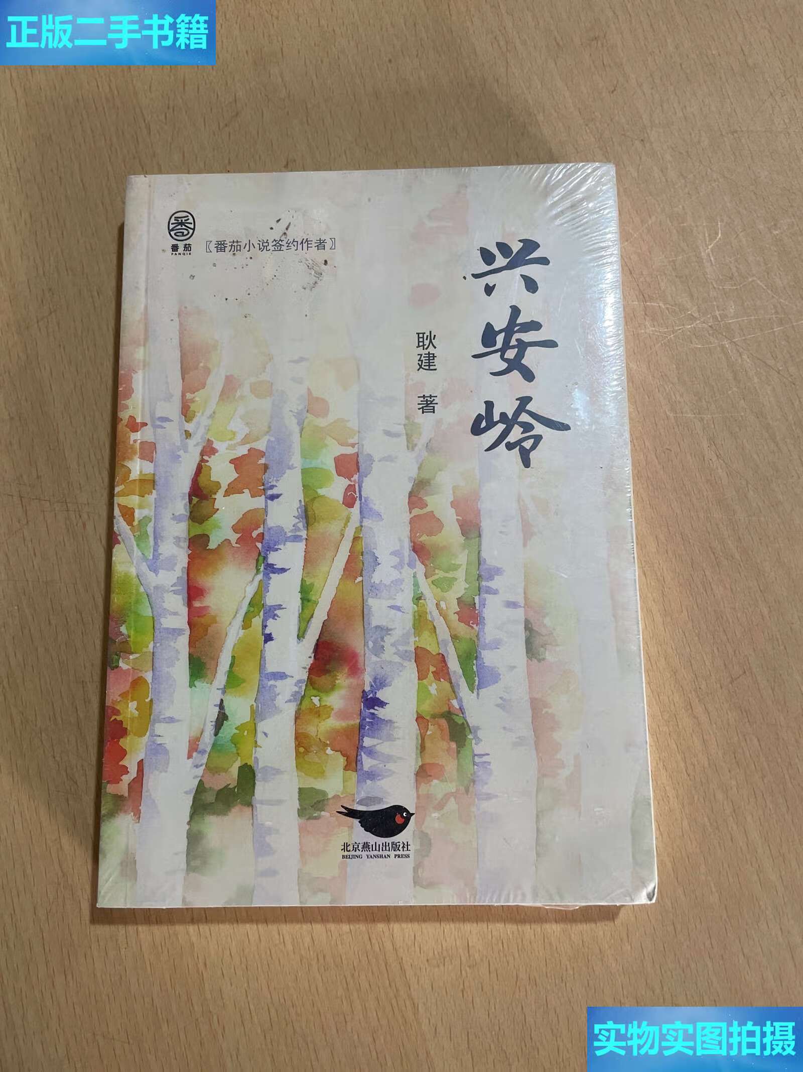 【二手9成新】兴安岭 情感小说 /耿建 北京燕山