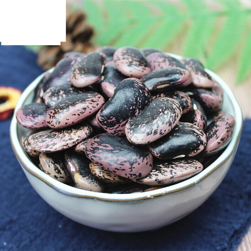 虎钢馋云南大黑花芸豆500g 农家大肾豆牛眼豆大饭豆大黑豆豆类
