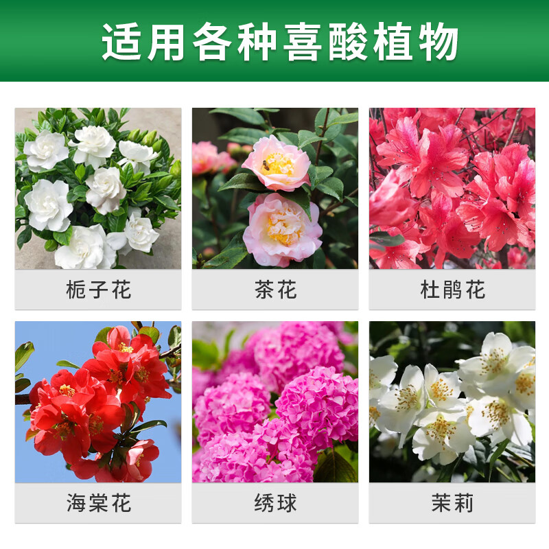 植美施酸性植物营养液家庭盆栽茶花栀子花茉莉绣球喜酸植物专用型 酸性营养液3瓶+100g二氢钾3袋