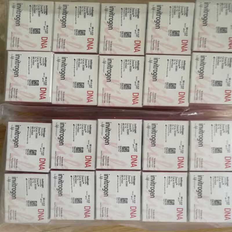 zeocin 博来霉素 博莱霉素 invitrogenr25001 125mg/1.25ml