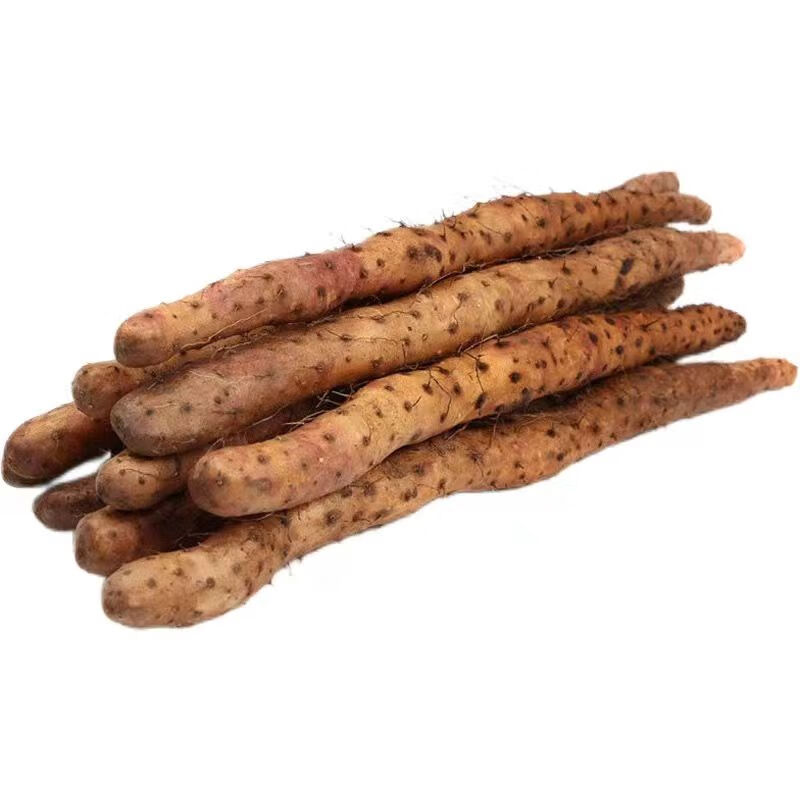 [现挖现卖]正宗温县垆土铁棍山药怀山药新鲜出土营养特产年货礼盒 果王礼盒净重6.5斤 65cm 土黄色