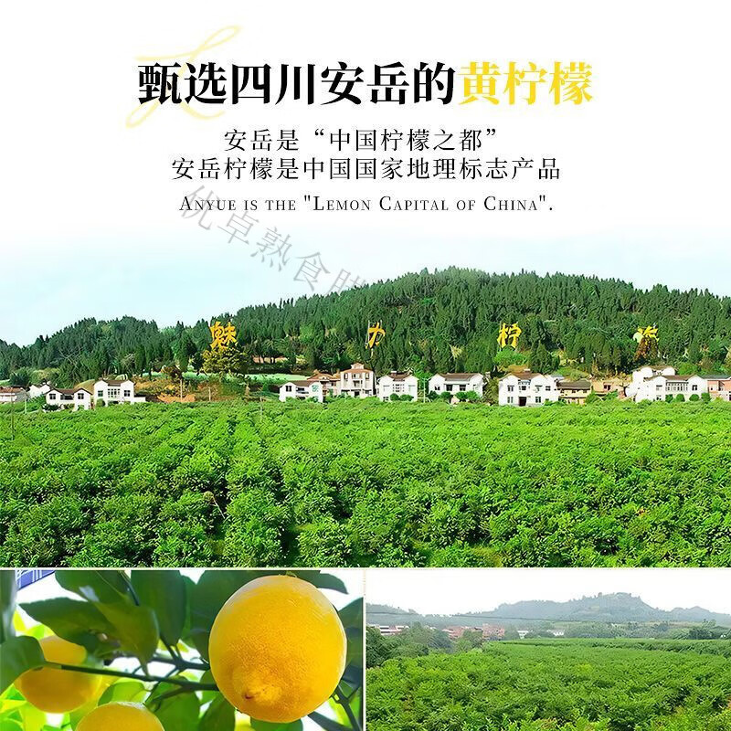 红允MikooLab味觉烙印 冷榨柠檬液30g*3条柠檬汁饮品维C柠檬冲饮解腻 【3条】冷榨柠檬液1盒