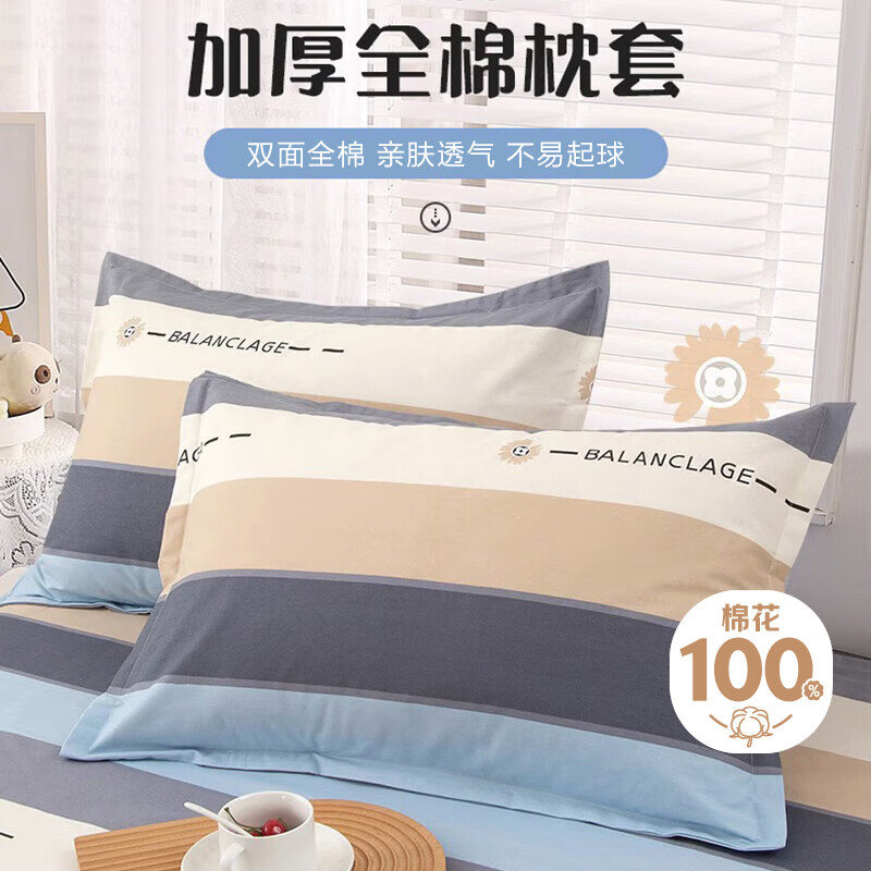 艾薇 A类枕头套纯棉家用全棉单人枕套一对枕芯套 罗马时代 48*74cm