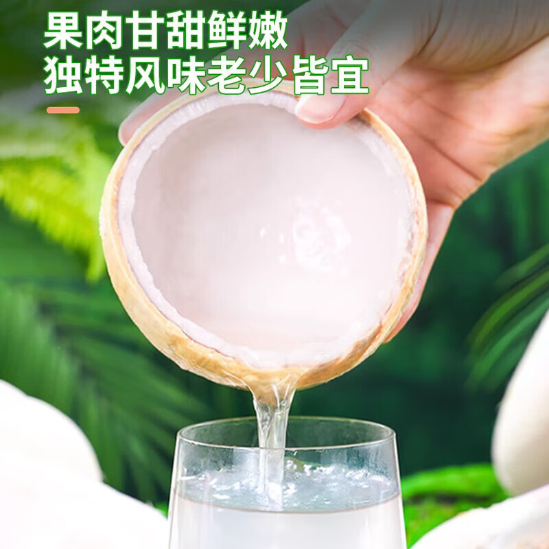 鲜友季海南牛奶椰皇椰白新鲜椰子椰汁水果孕妇补羊水水果配吸管 8枚中果（单果1斤-1.5斤）