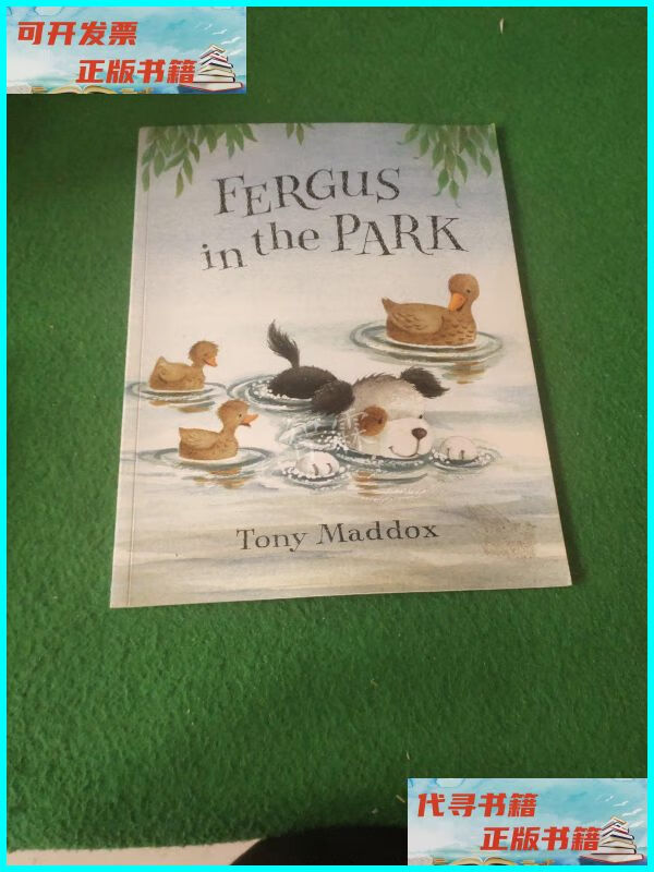 【二手9成新】fergus in the park myriad books