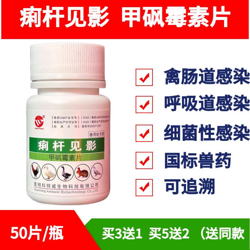 迅销兽用甲砜霉素片鸡鸭鹅鸽兔子肠道呼吸道细菌感染痢杆见影兽药 1瓶