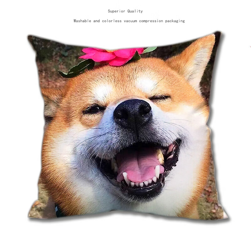 好沐音(haomuyin)单身狗玩偶抱枕柴犬狗头表情同人周边抱枕头毛绒具