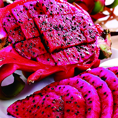 觅凉都【正宗】迷你红心火龙果超甜多汁应季新鲜水果整箱批发价3/5斤