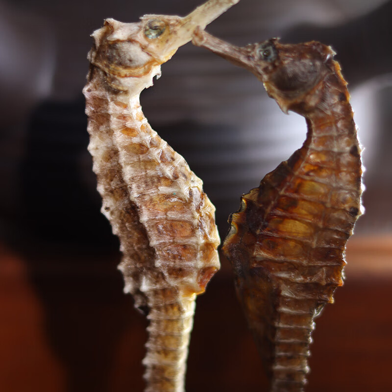 海马公母一对中药饮片融草集大药房三斑海马泡酒煲汤中药材干货 [三斑